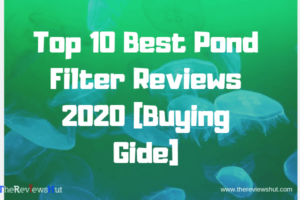 best pond filter