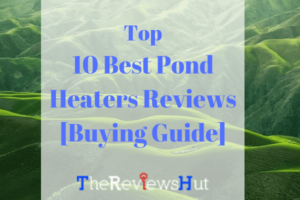 best pond heaters