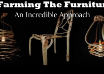 Farming The Furniture- An Incredible Approach