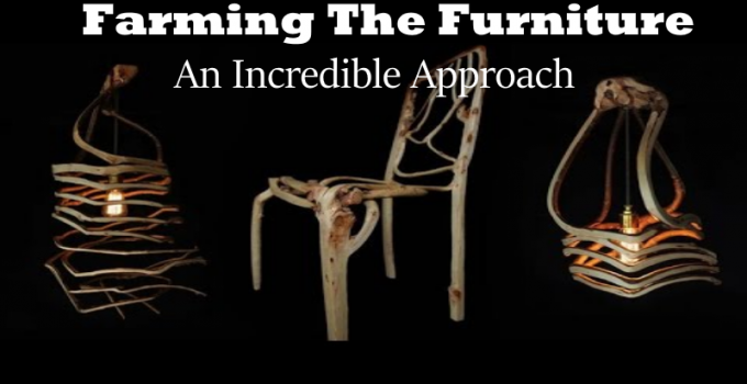 Farming The Furniture- An Incredible Approach